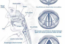Taking Care of Your Voice